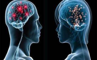 Какие различия между мужским и женским мозгом