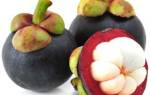 Мангостин (мангостан): польза и вред фрукта
