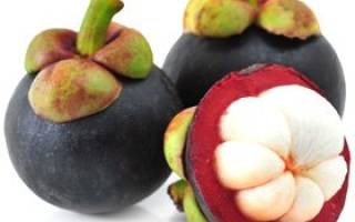 Мангостин (мангостан): польза и вред фрукта