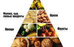 Вегетарианская пищевая пирамида: польза, вред, продукты