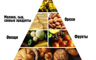 Вегетарианская пищевая пирамида: польза, вред, продукты