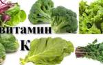 Витамин k: в каких продуктах содержится и для чего нужен