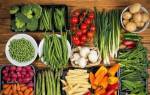 Растительная диета: меню, рецепты и отзывы
