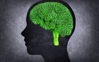 Какие продукты питания полезные для работы мозга человека