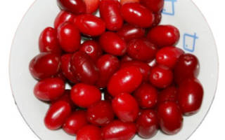 Кизил: польза и вред ягоды