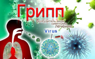 Возбудитель гриппа: виды, проявление вируса