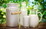 Вред парного молока: можно ли пить и чем опасно