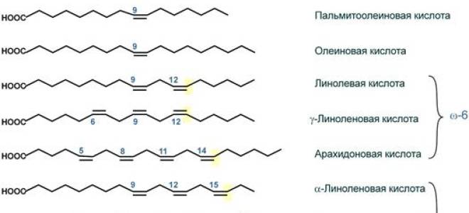 Насыщенные жирные кислоты: роль и источники