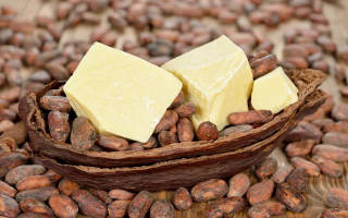 Масло какао: польза, вред и калорийность