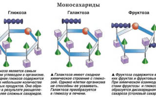 Моносахариды: виды, функции и применение